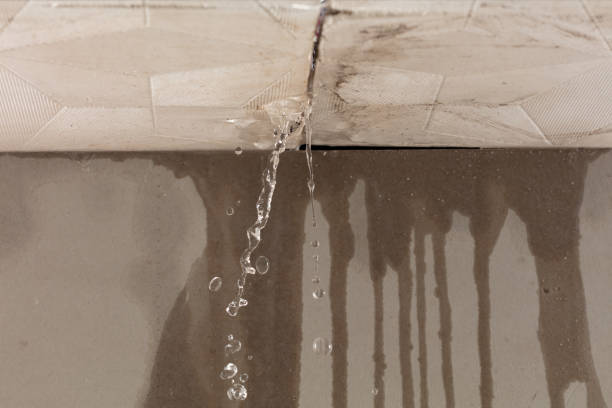 Professional Water Damage Repair technician working in Rising Star, TX